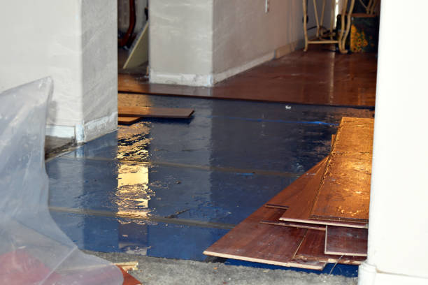 Professional Sewage Cleanup technician working in Danbury, NH